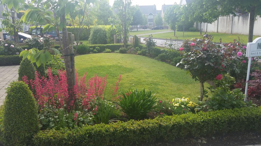 5号住宿加早餐旅馆 Kilcullen 外观 照片