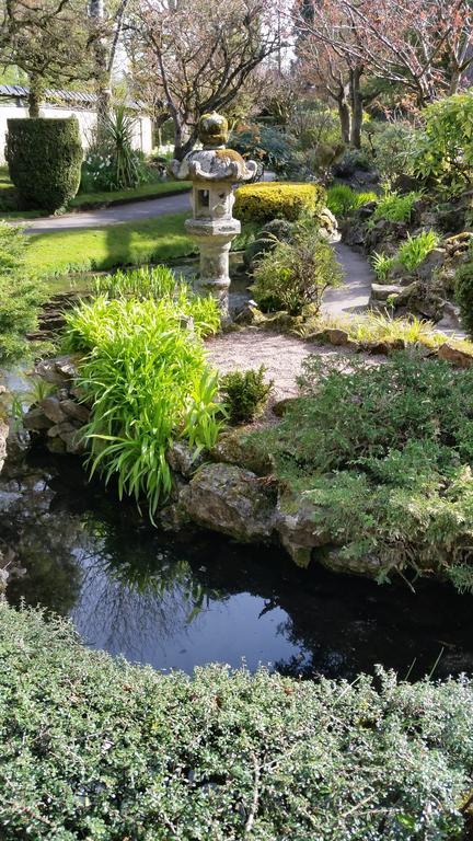 5号住宿加早餐旅馆 Kilcullen 外观 照片