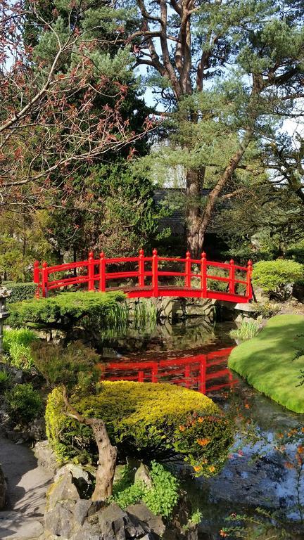 5号住宿加早餐旅馆 Kilcullen 外观 照片