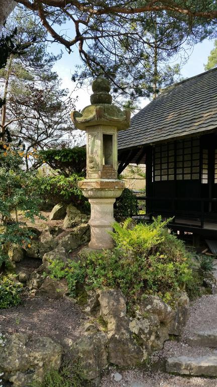 5号住宿加早餐旅馆 Kilcullen 外观 照片