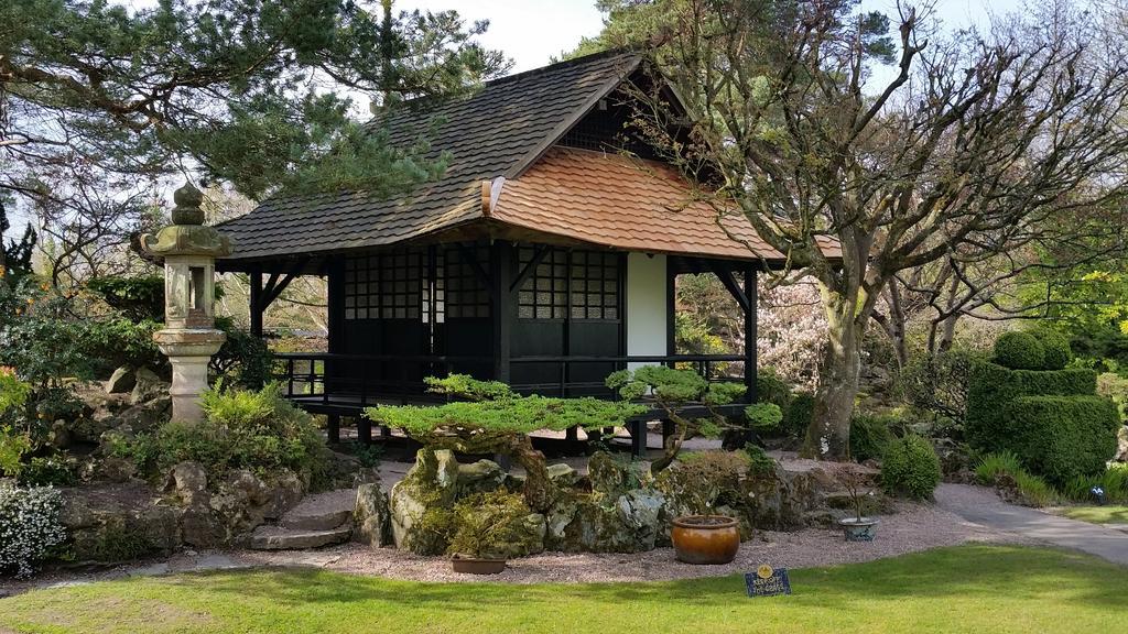 5号住宿加早餐旅馆 Kilcullen 外观 照片