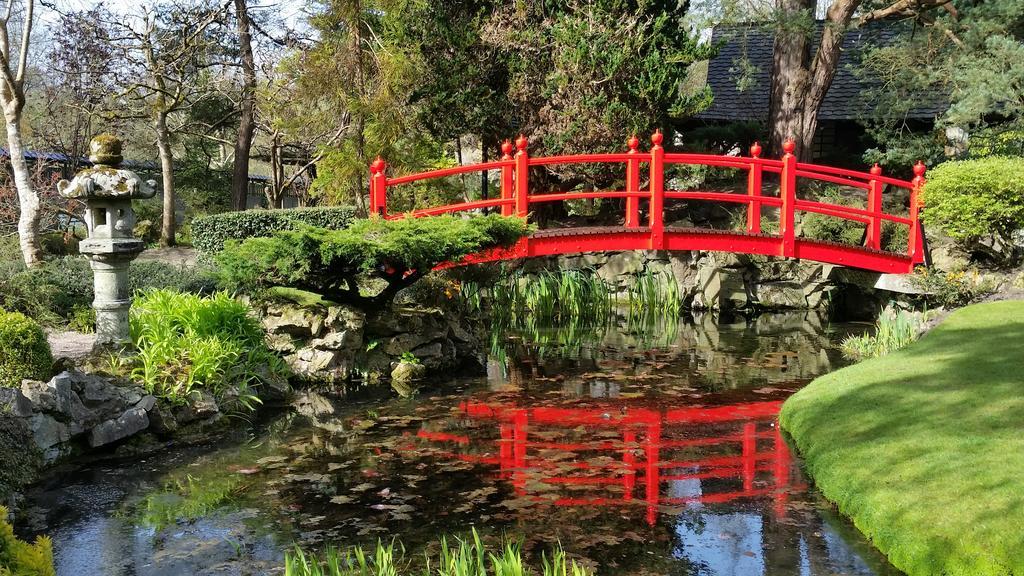 5号住宿加早餐旅馆 Kilcullen 外观 照片